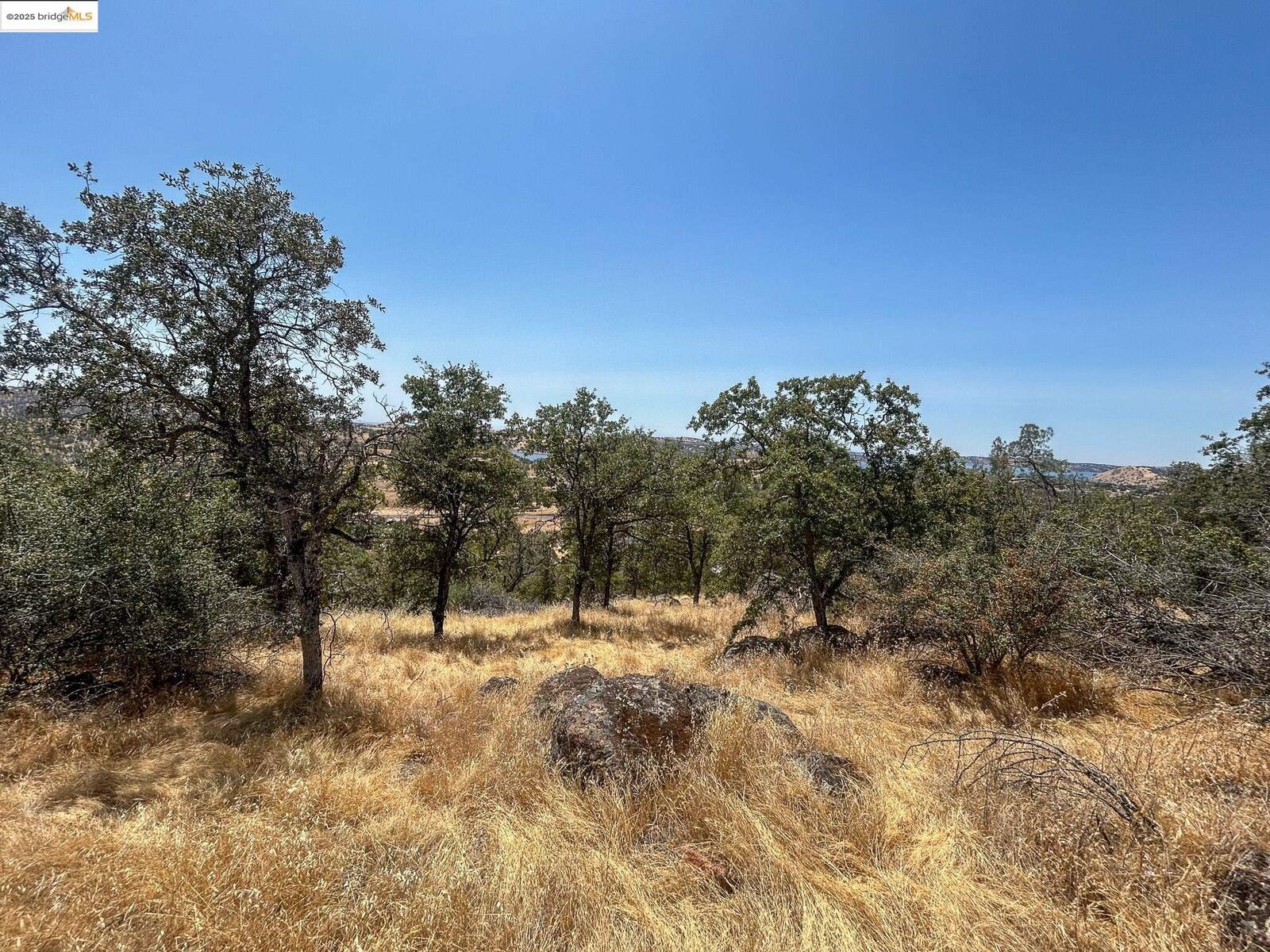 Property Photo:  850 Arbolada Drive  CA 95329 