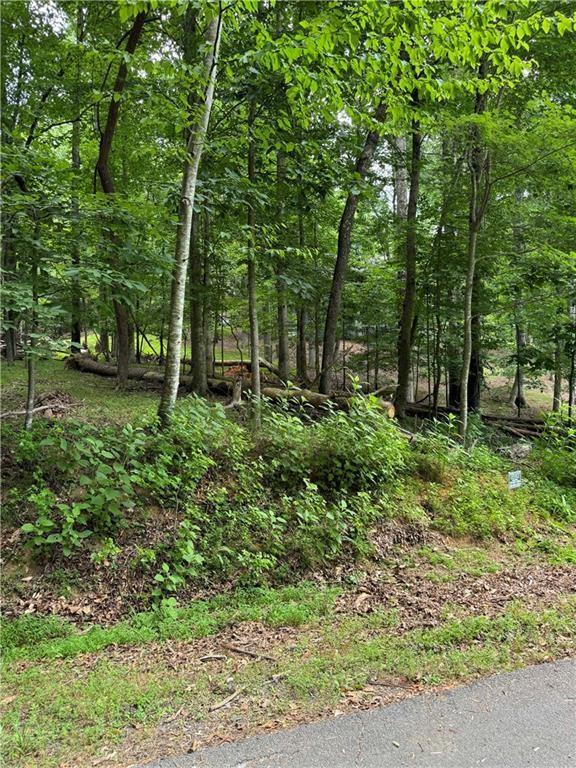Property Photo: 832+ N Duffer Drive GA 30143