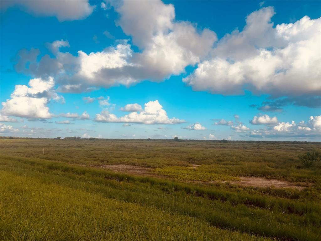 Property Photo: 0-4.988 Acres Fm 2918 Rd TX 77422