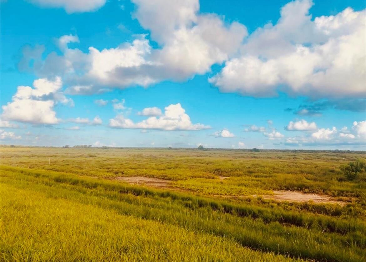 Property Photo:  0-4.988 Acres Fm 2918 Rd  TX 77422 