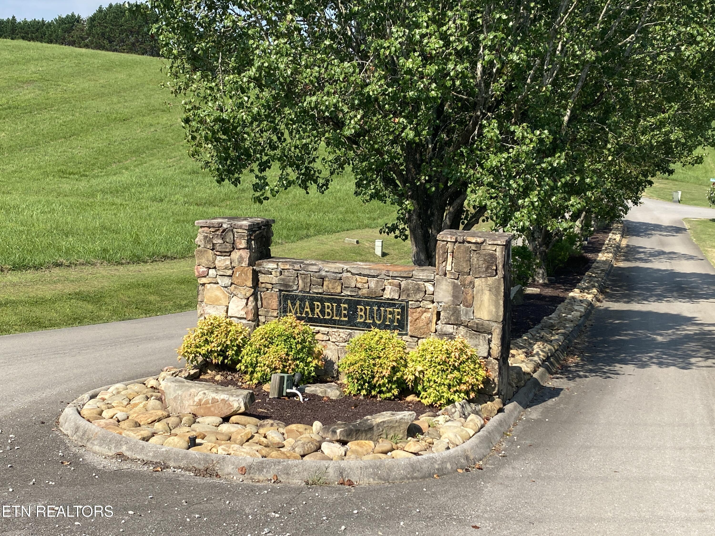 Property Photo: Lot 5 Marble Bluff Drive TN 37763