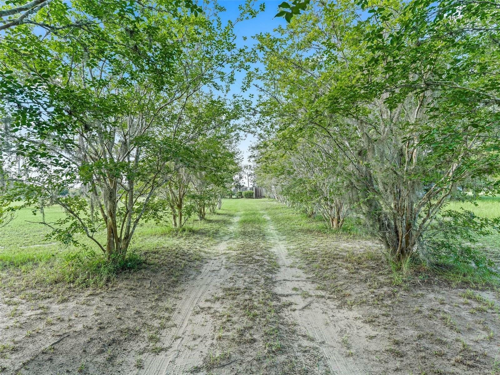 Property Photo:  17260 SE 55th Place  FL 32179 