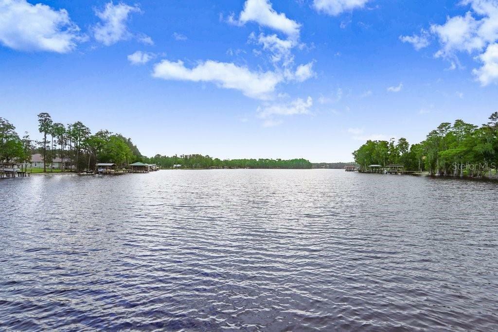 8903 Donna Lu Drive  Odessa FL 33556 photo