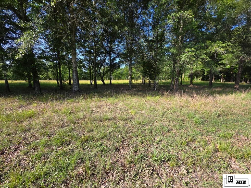 Property Photo: Lot 16 Carey Smith Road LA 71259
