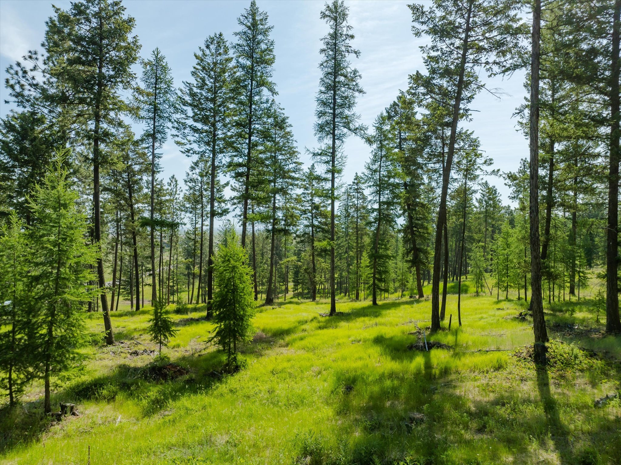 Property Photo: Nhn Northern Larch Trail Lot 73 MT 59901