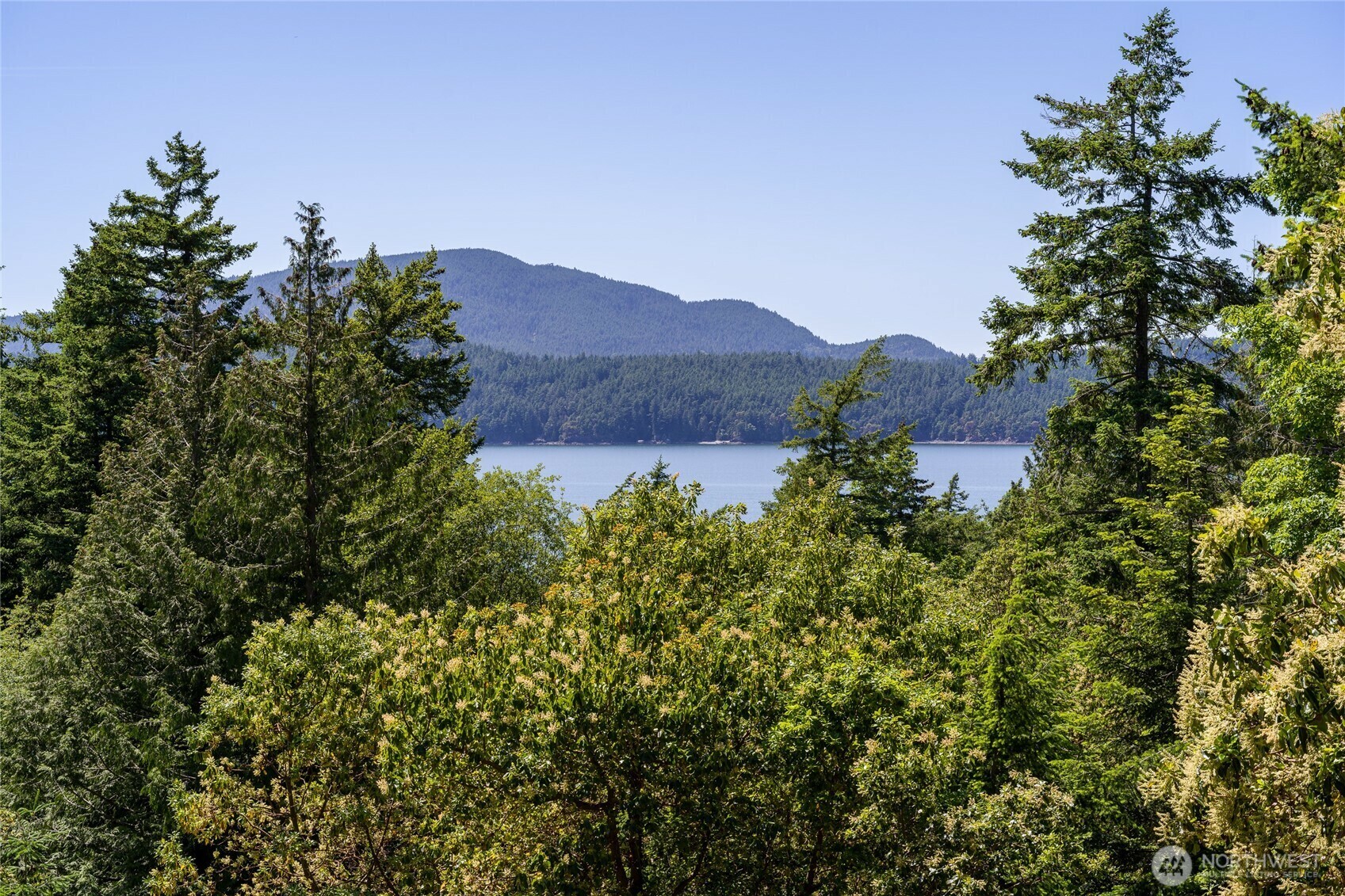 Property Photo: 227 Bromley Dr WA 98245