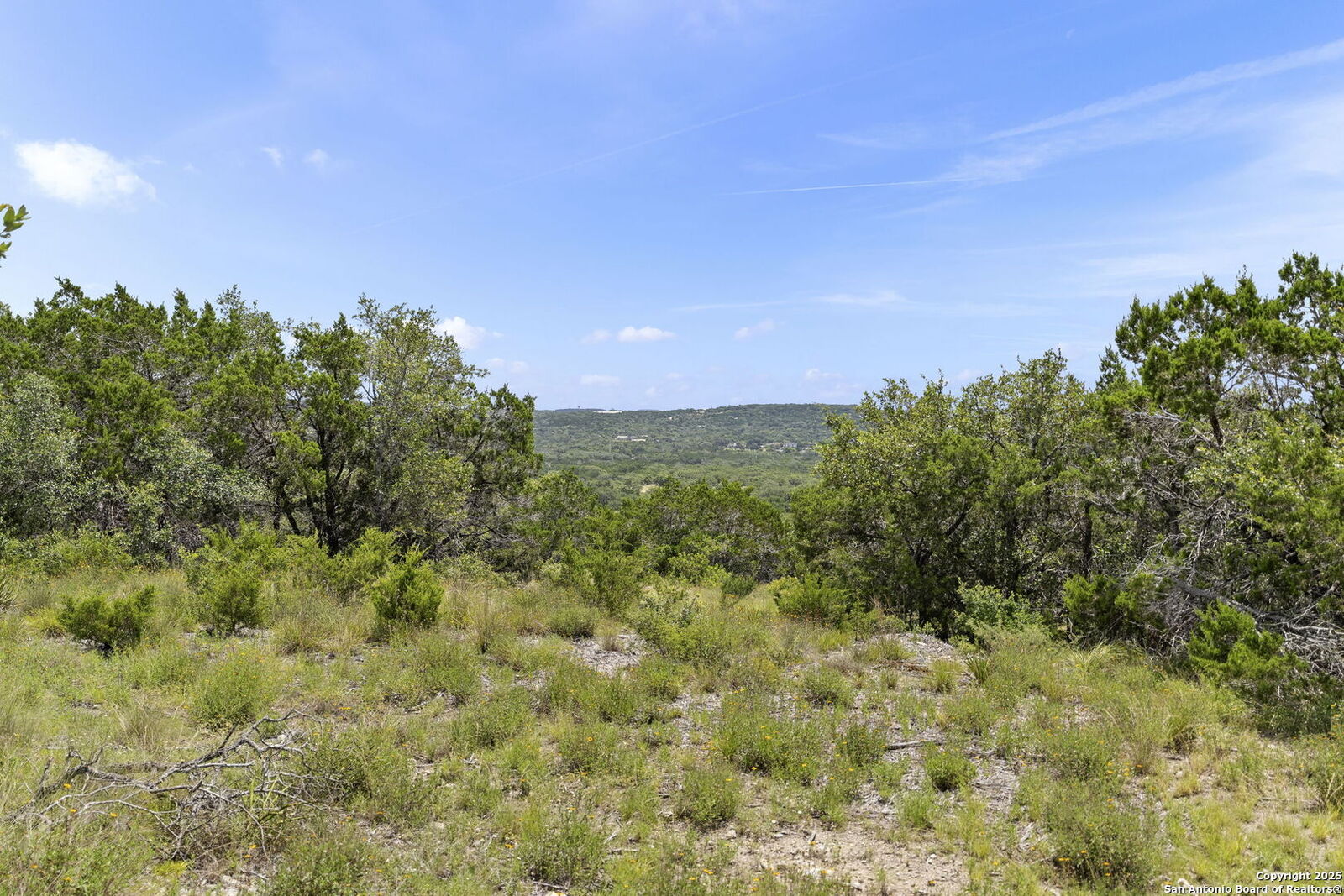 Property Photo:  831 Lovett Ridge Rd  TX 78163 