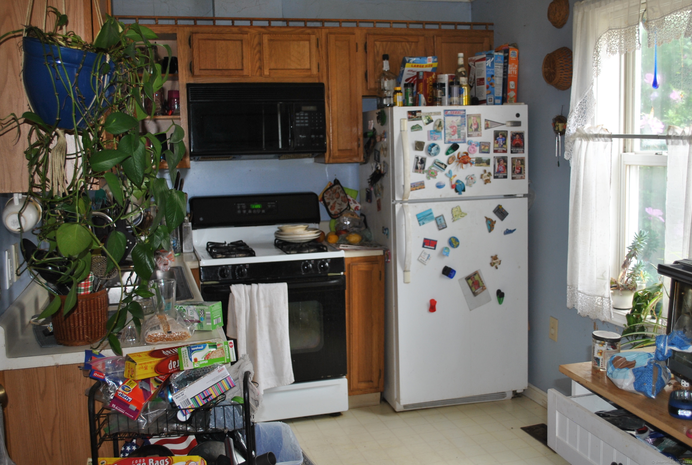 Property Photo:  22 Virginia Avenue Apt 2B  CT 06810 