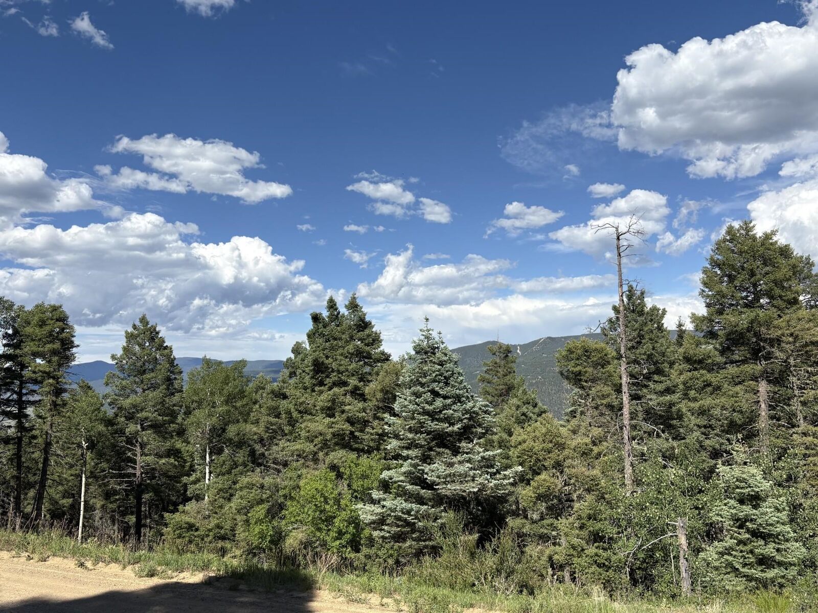 Property Photo: Lot 103 Zia Rd NM 87710