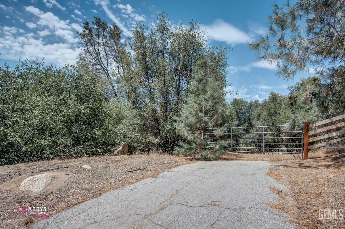 28060 Carlyle Springs Road  Keene CA 93531 photo