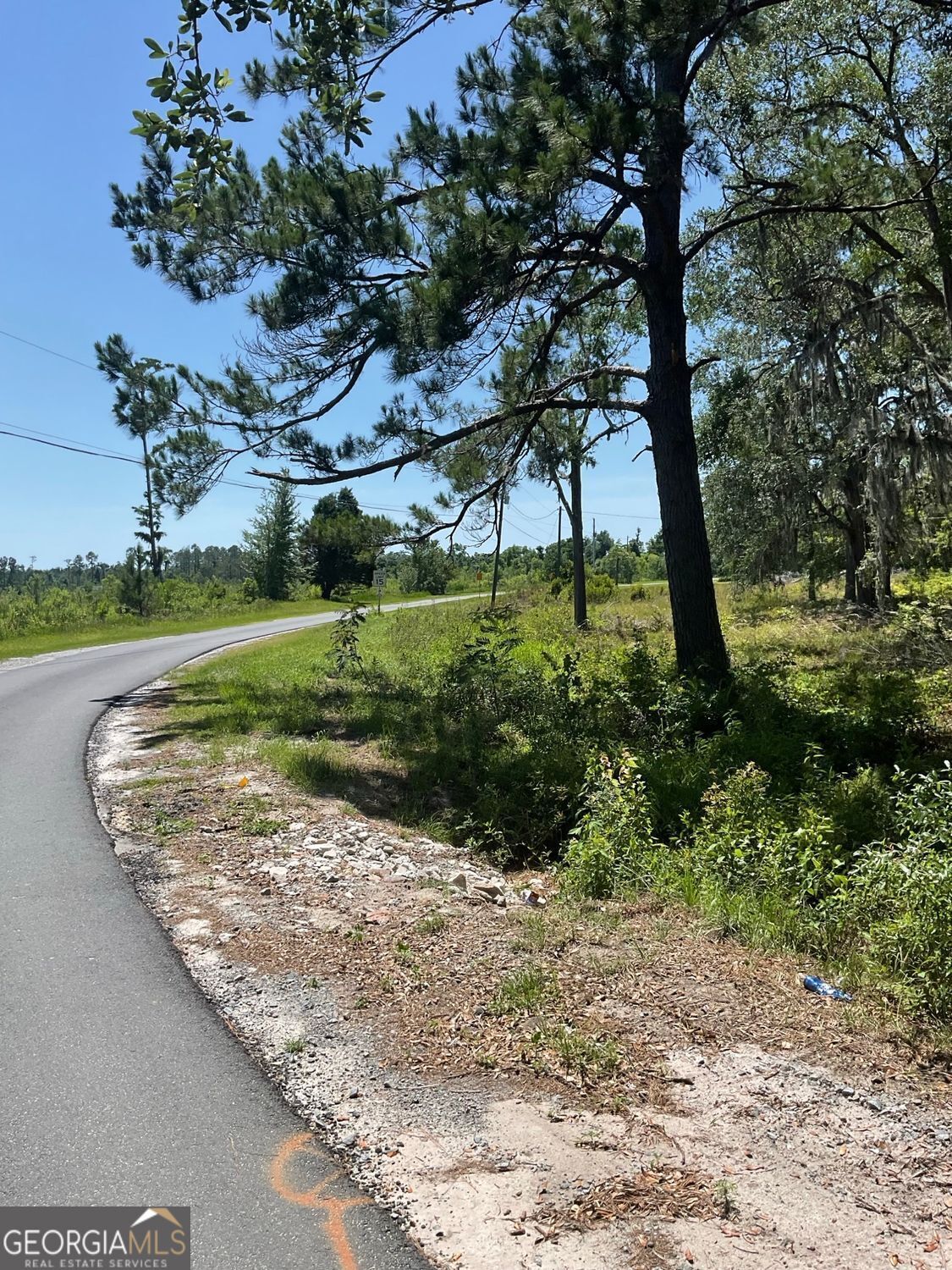 Property Photo: 3180 Triple Lake Road GA 31601