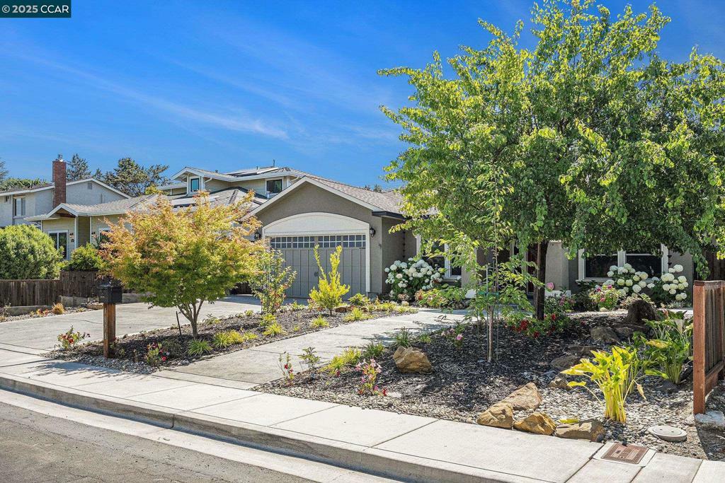Property Photo:  1878 Casa Grande Street  CA 94510 
