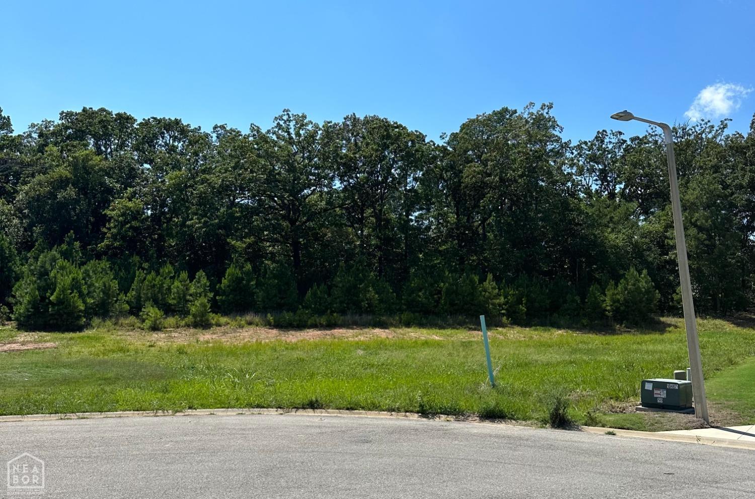 Property Photo: 3911 Wigeon Cove AR 72404