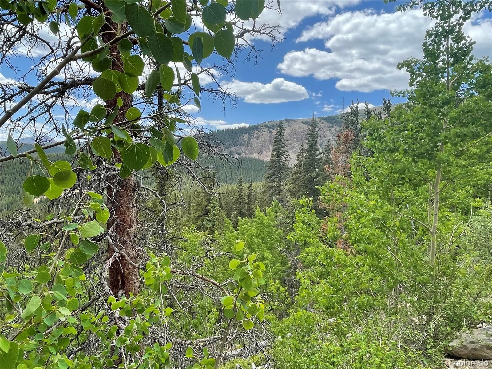 Property Photo:  847 County Road 787  CO 80420 