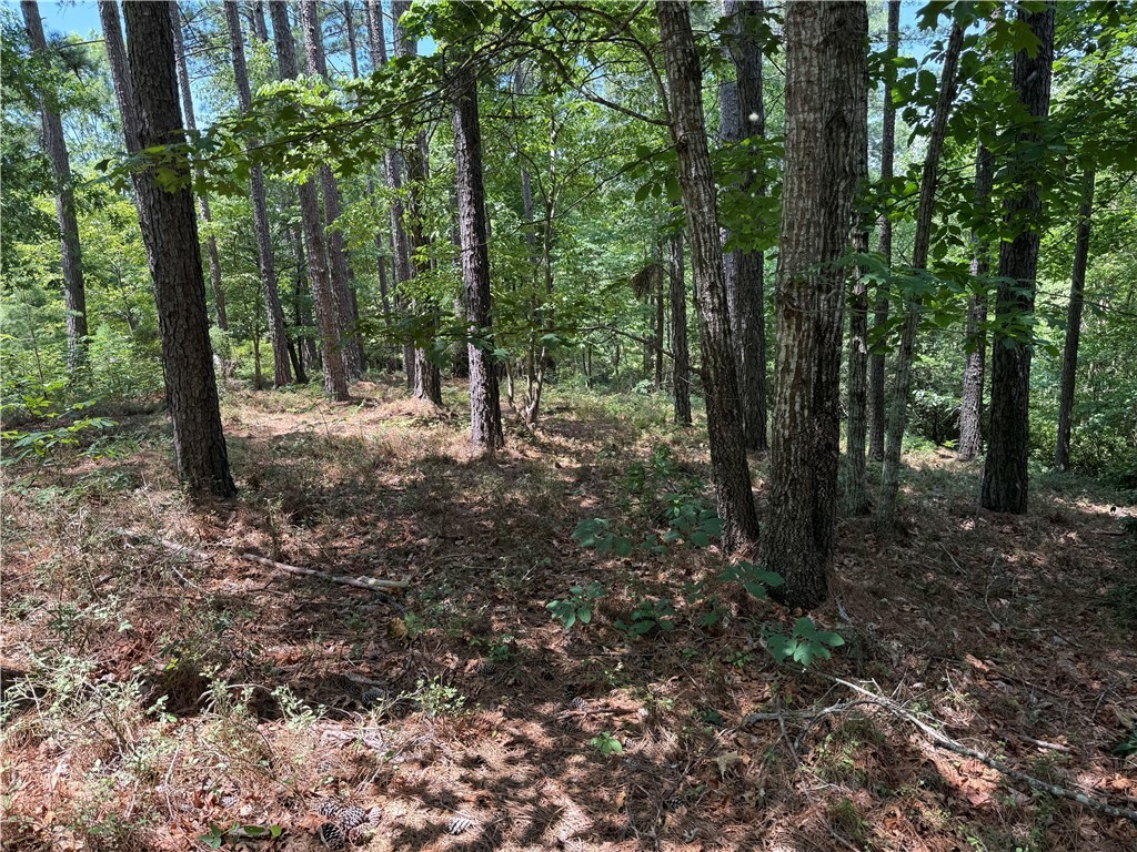 Property Photo:  126 River Ridge Road  SC 29685 