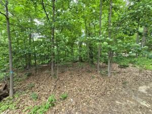 10&Amp11 Goldfinch Street  Gaylord MI 49735 photo
