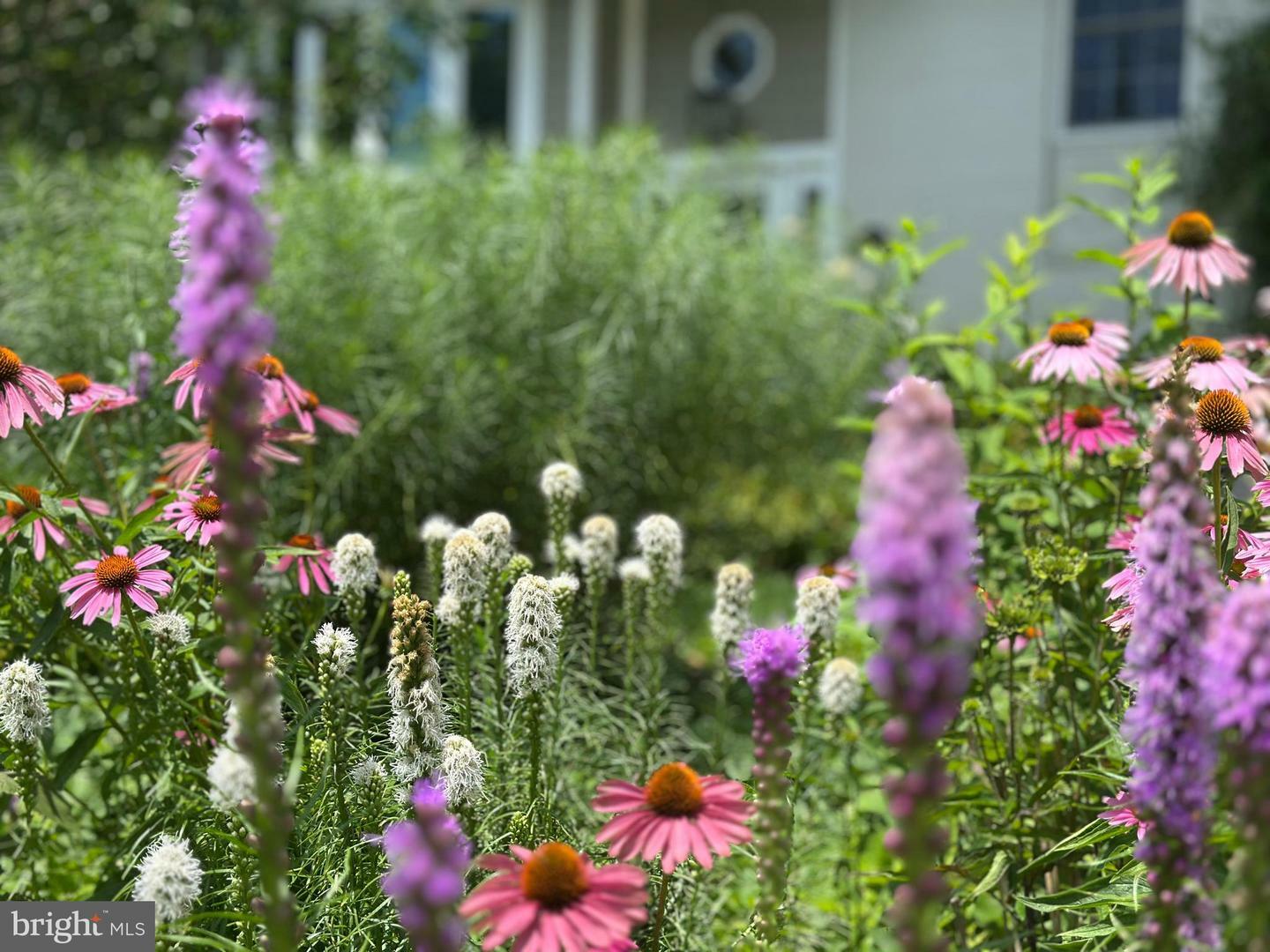 Property Photo: 4835 9th Street S VA 22204
