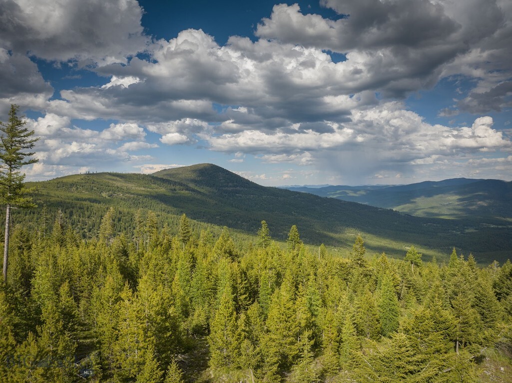 Nhn Haskill Mountain Ranch Road  Kila MT 59920 photo