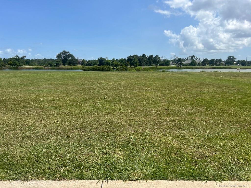 Property Photo: 14 Palmetto Drive LA 70605