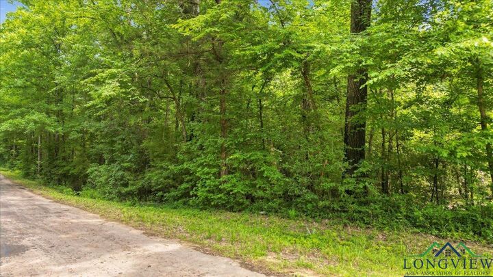 Property Photo:  Tbd Fm 10  TX 75643 