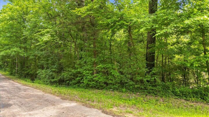 Property Photo: Tbd Fm 10 TX 75643