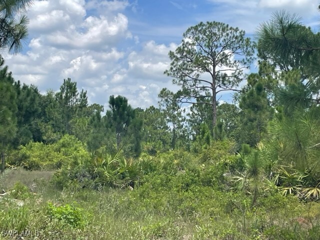 Property Photo: 557 Barranger Avenue S FL 33974