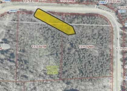 Property Photo:  Tbd Ember Loop  MN 56470 