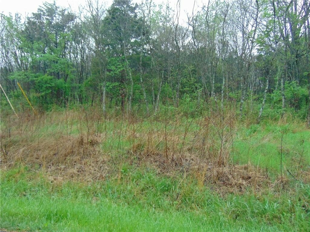 Property Photo:  Lot 17 - Block 1 Oniell Circle  AR 72715 