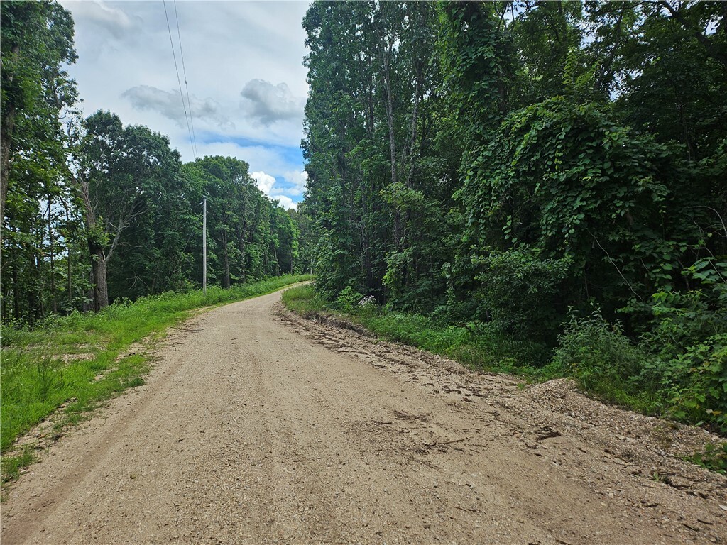 Tbd County Road 224  Eureka Springs AR 72632 photo