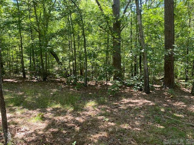 Property Photo: 787 Polk Road 67 AR 71953