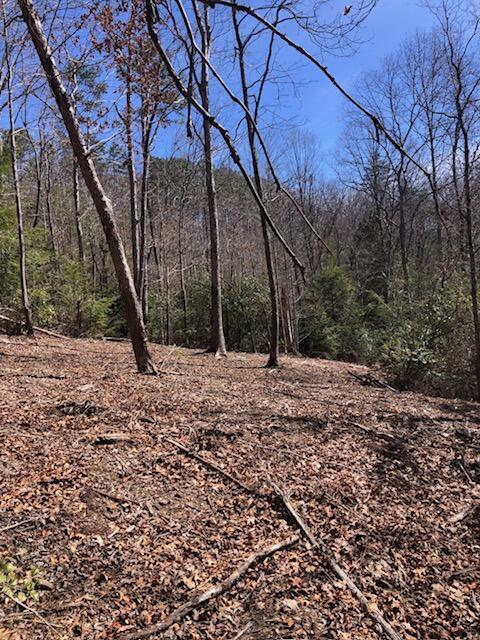 Property Photo: 0 Sullivan Mill Lane TN 37338