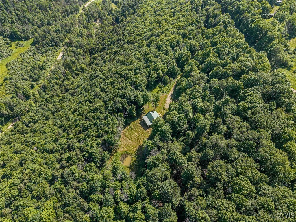 Property Photo: 4902 McMaster Road NY 14819
