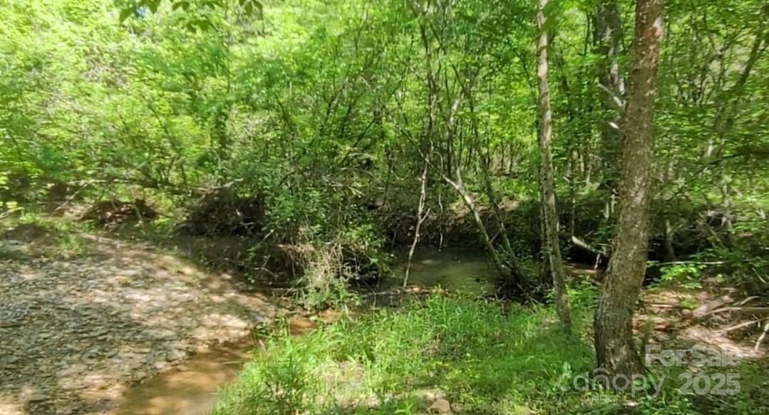 Property Photo: 3601 Big Level Road NC 28756