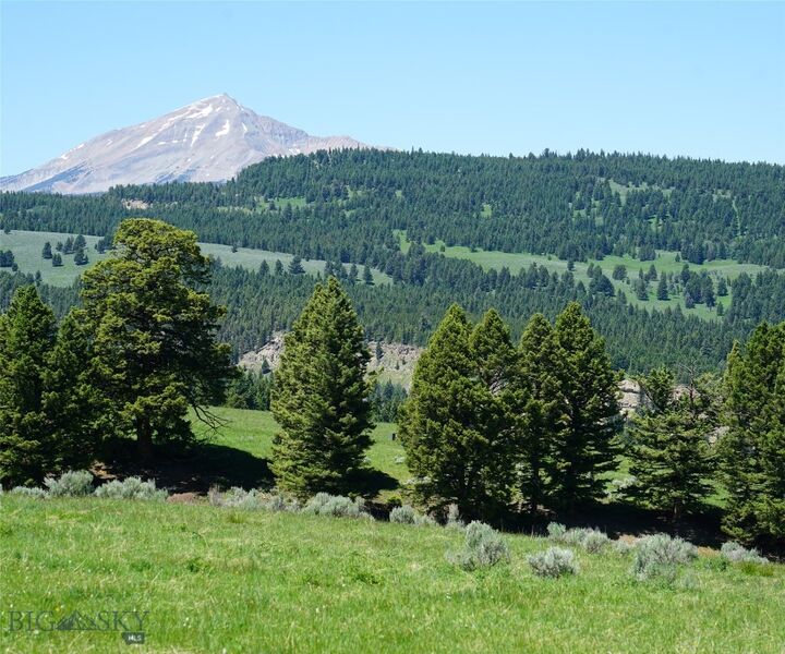 Property Photo: Tbd Timberloft MT 59716