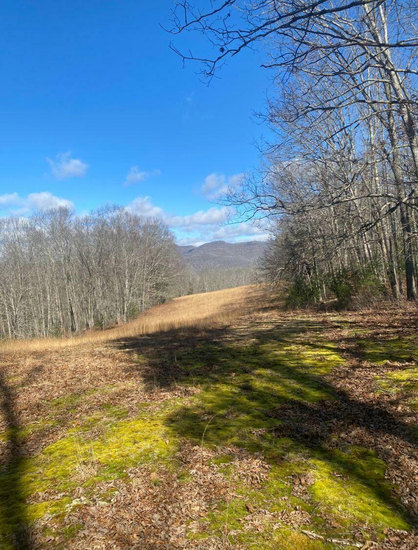 Property Photo: 4001 Steven Hole Run Road WV 24924