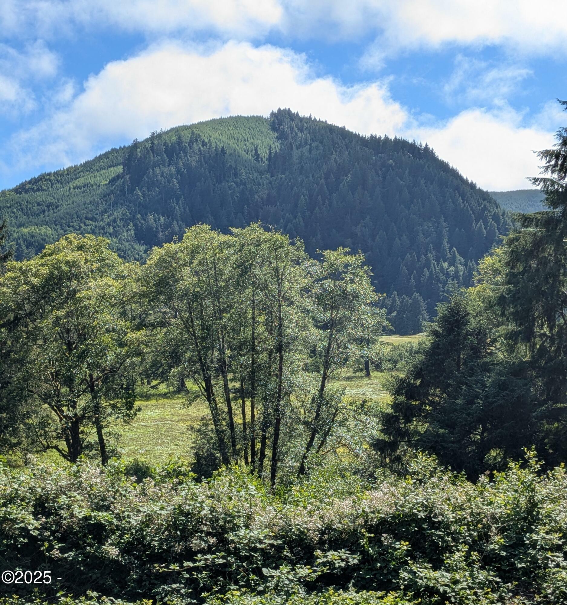 Property Photo: Tl 801 Siletz Highway OR 97367