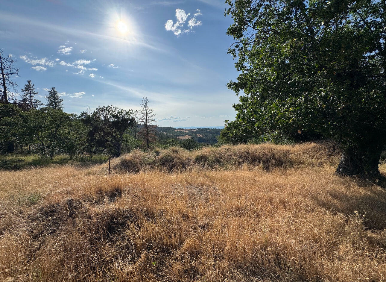 Property Photo: 110 White Tail Drive OR 97524