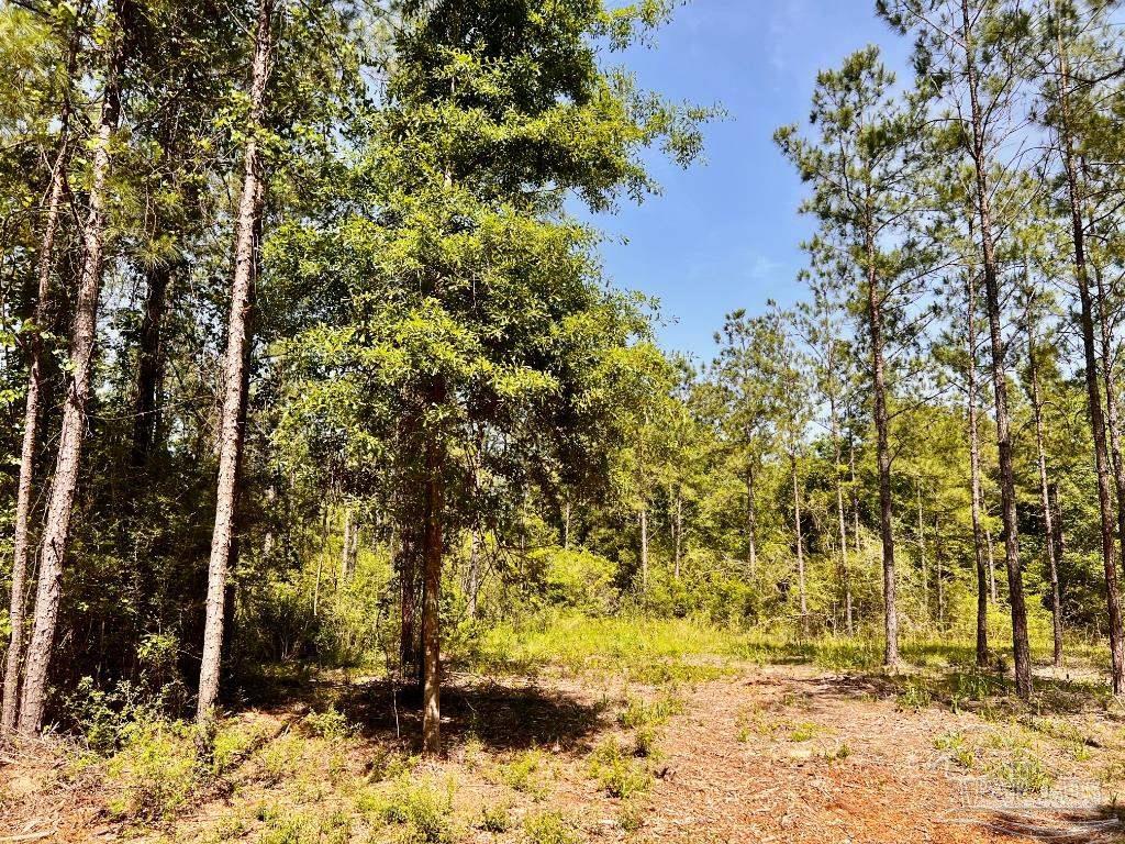 Property Photo:  Lot 99 Turning Leaf Rd  FL 32571 