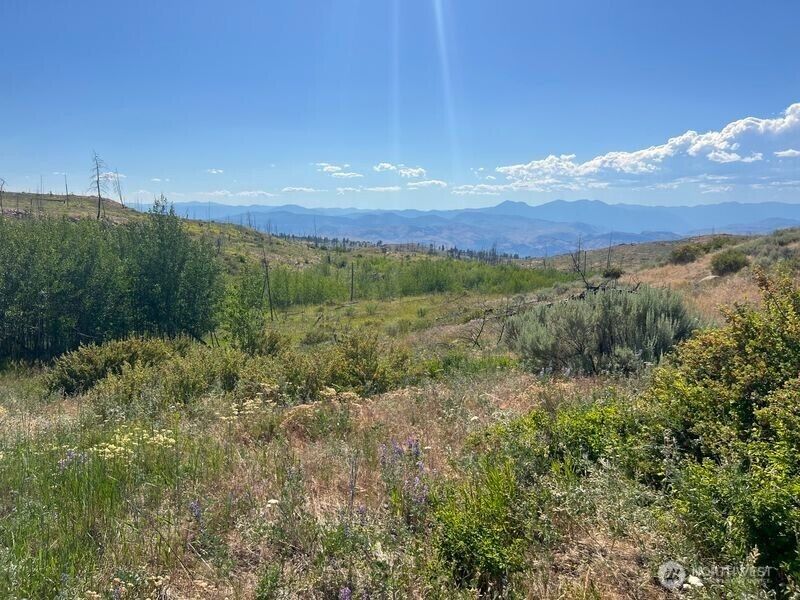 Property Photo:  0 Lot 12  Lone Spur Road  WA 98844 