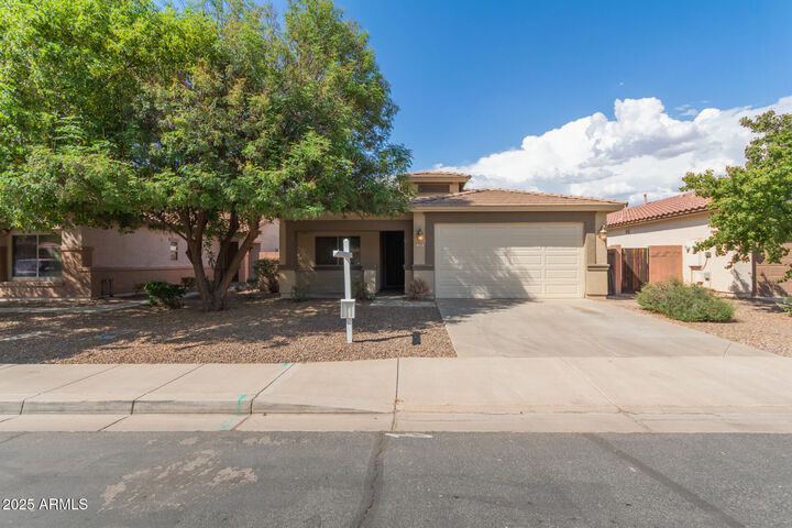 328 W Dragon Tree Avenue  San Tan Valley AZ 85140 photo