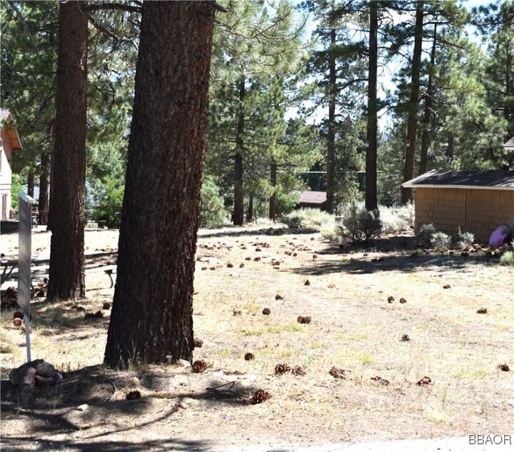 Property Photo:  0 Forest Road  CA 92315 