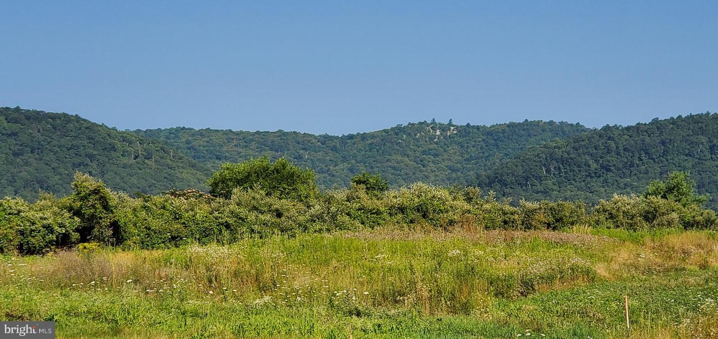 Lot 12 Sunrise Lane  Fort Loudon PA 17224 photo