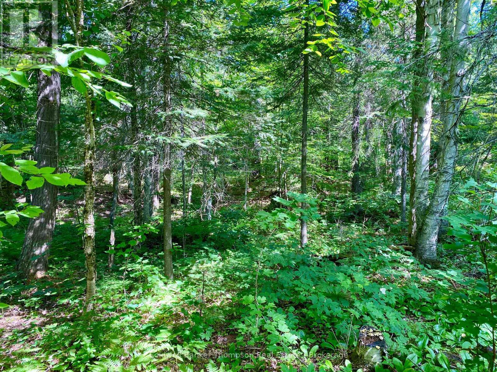 Property Photo: 0 North Conc. Rd 10 And 11 Corners North ON P0H 1A0