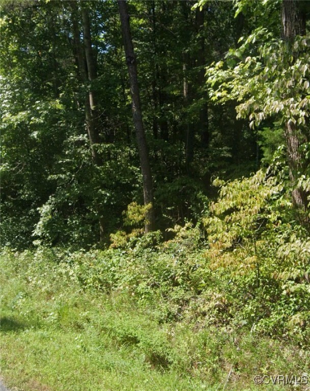 Property Photo: 0 New Line Road VA 23065