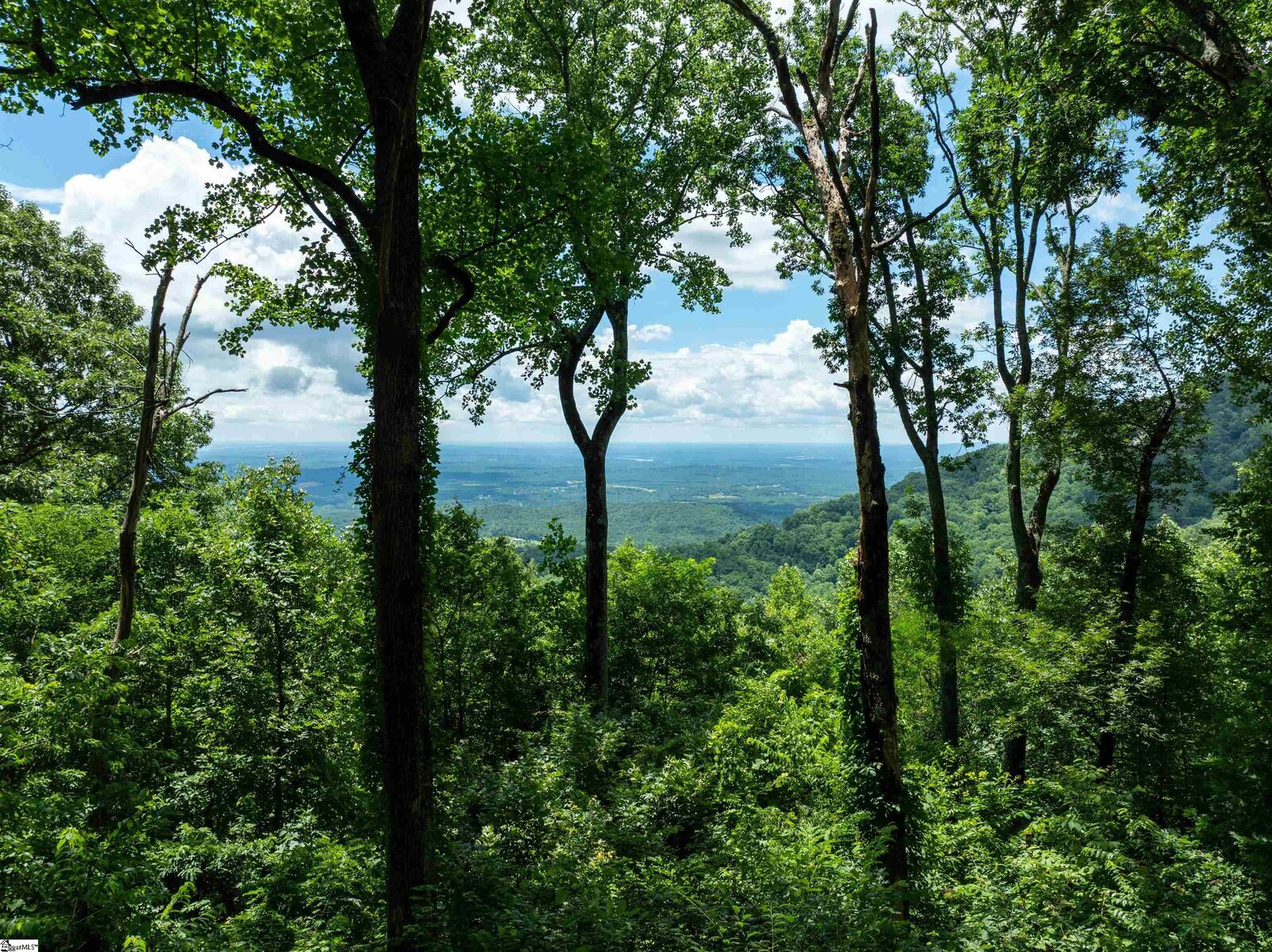 Property Photo:  22 Raven Road  SC 29356 