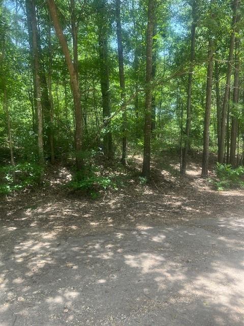Property Photo: Lot 437 &Amp 438 Hidden Circle TX 77331