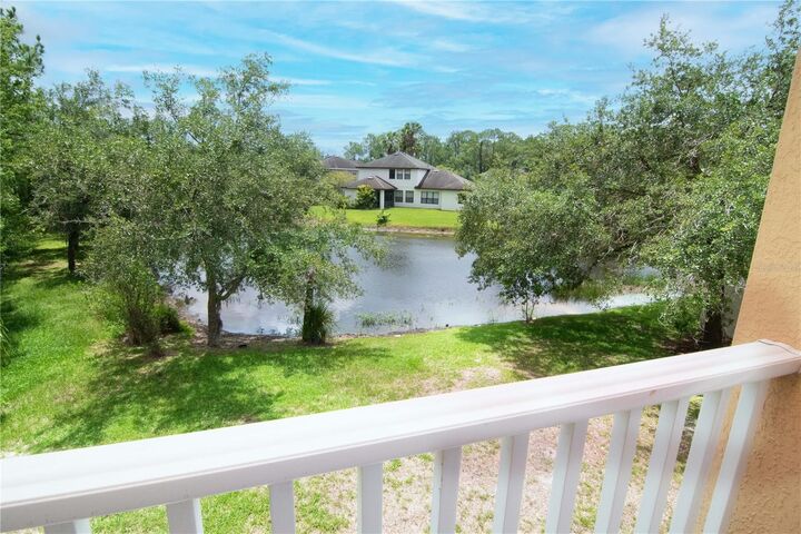 Property Photo: 16115 Colchester Palms Drive FL 33647