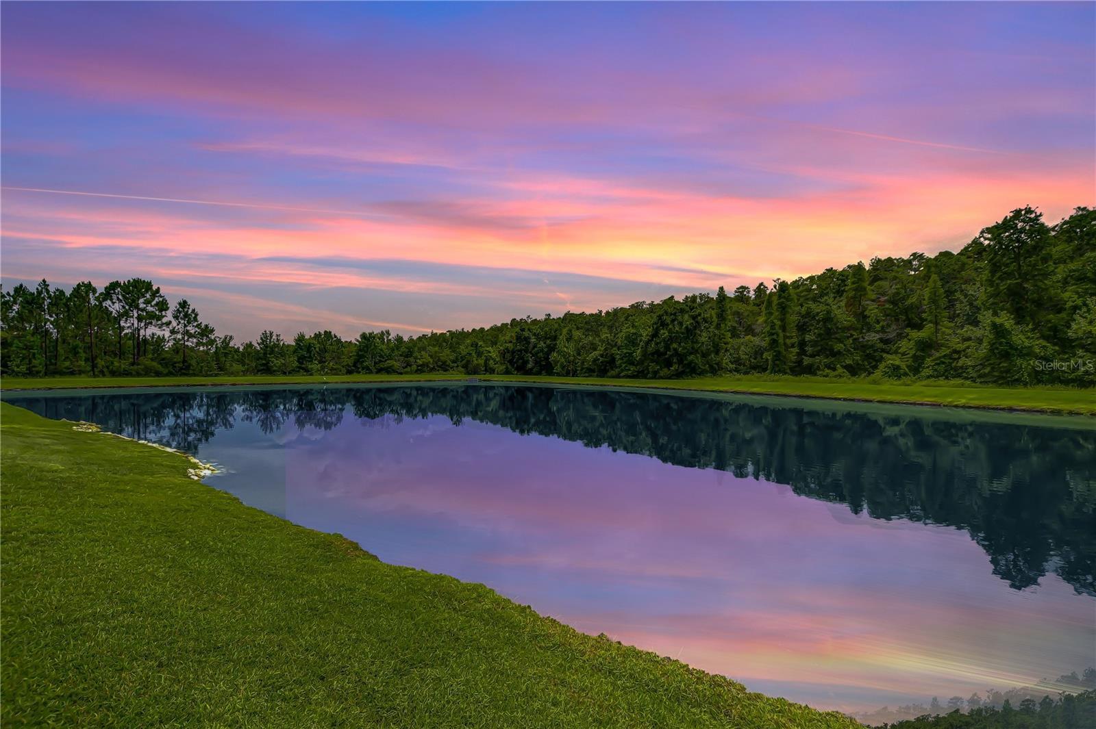 Property Photo: 2957 Hilliard Drive FL 33543