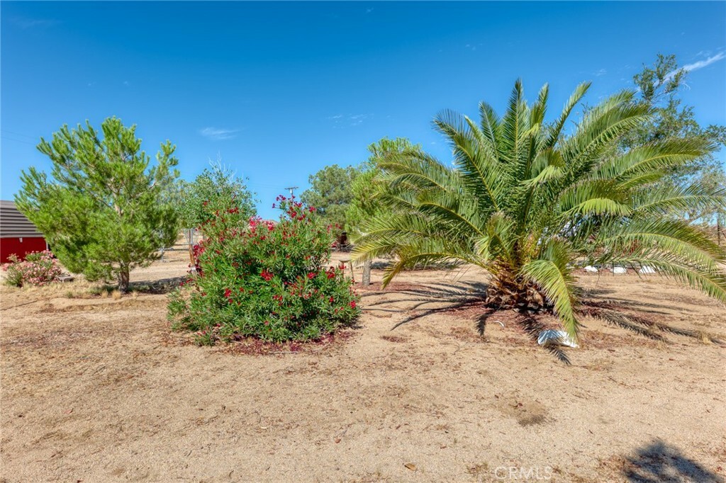 Property Photo: 0 Kicks CA 92285