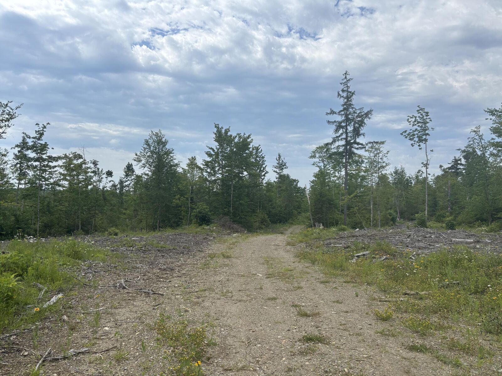Property Photo: 0A Clearcut Lodge Road ME 04487